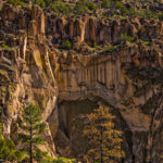 Cliff facing the tree