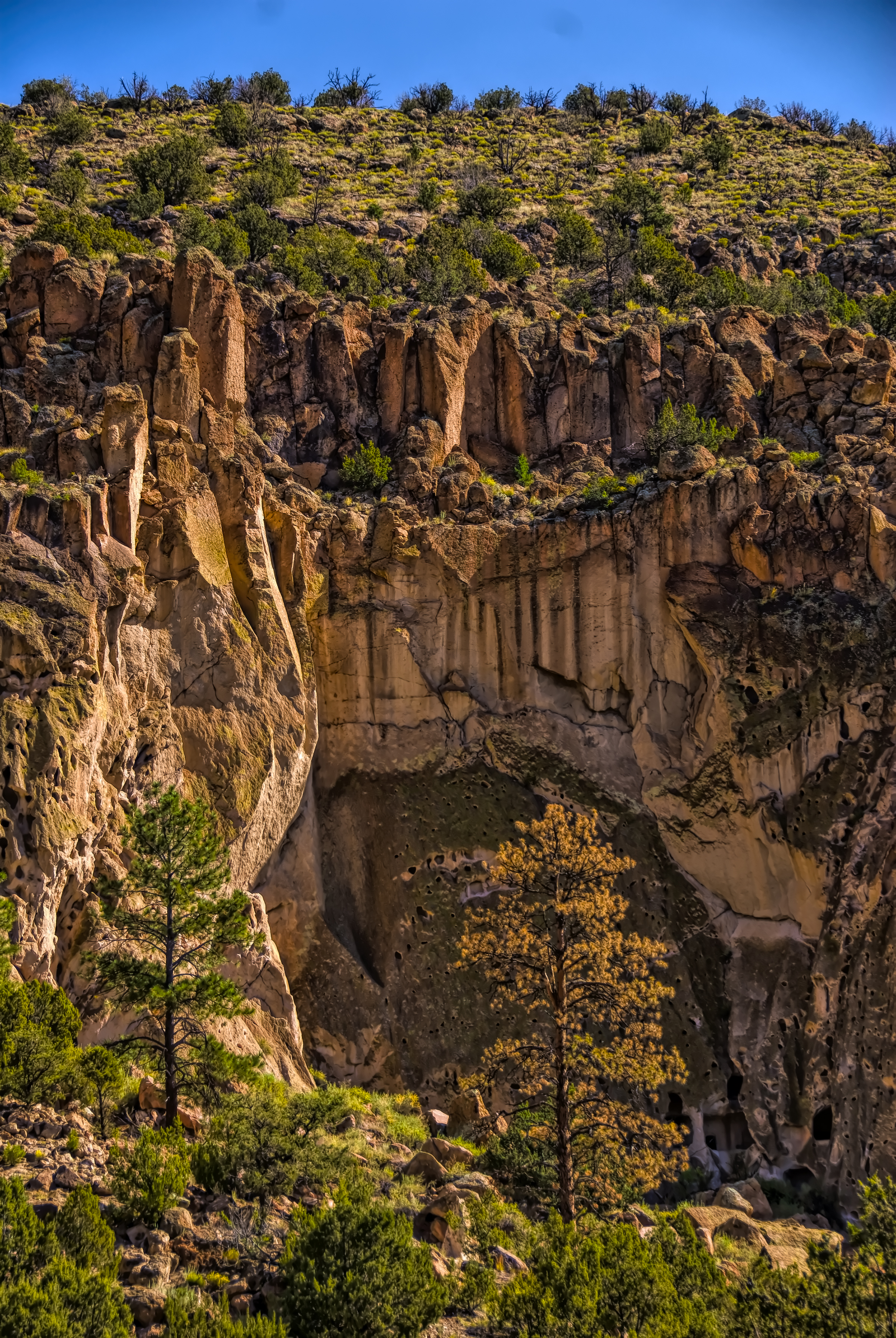 Cliff facing the tree