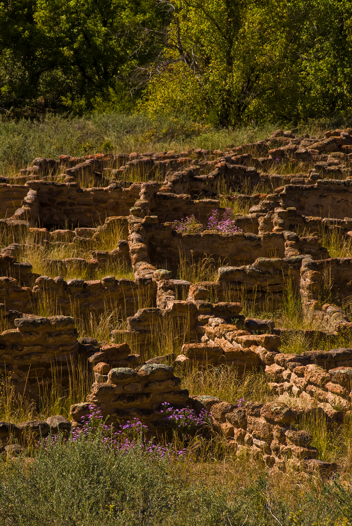 Ruins Bandolier National Park